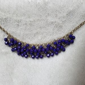 Banana Republic Blue and Clear Beaded Necklace!